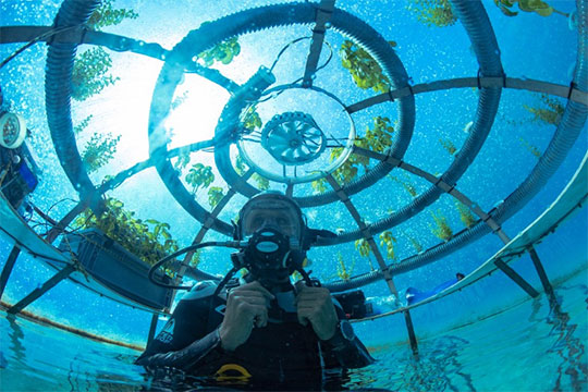 Siemens enables underwater farming revolution with digital twin