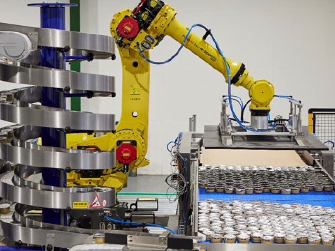 Automating the food sector: efficiency in action