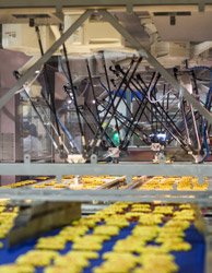 FANUC robots have a way with waffles