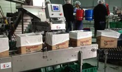 Packaging machine builder saves cost with combined PLC/HMI