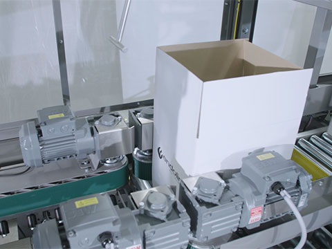 Endoline solves sticky box challenge for global gum giant