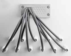 Hygienic version of icotek cable entry system at Foremost