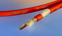 CLPA helps cable manufacture expand into Asian markets