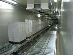 Fieldbus modules connect 120 drives in pallet conveyor system