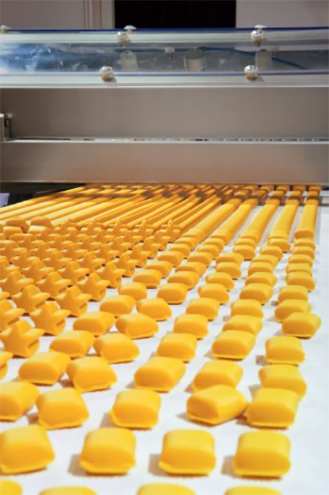 NSK bearings deliver major savings at snack food plant