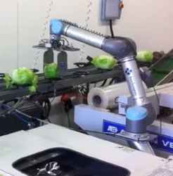 Long-reach, easy teach, robotic arm for automated handling