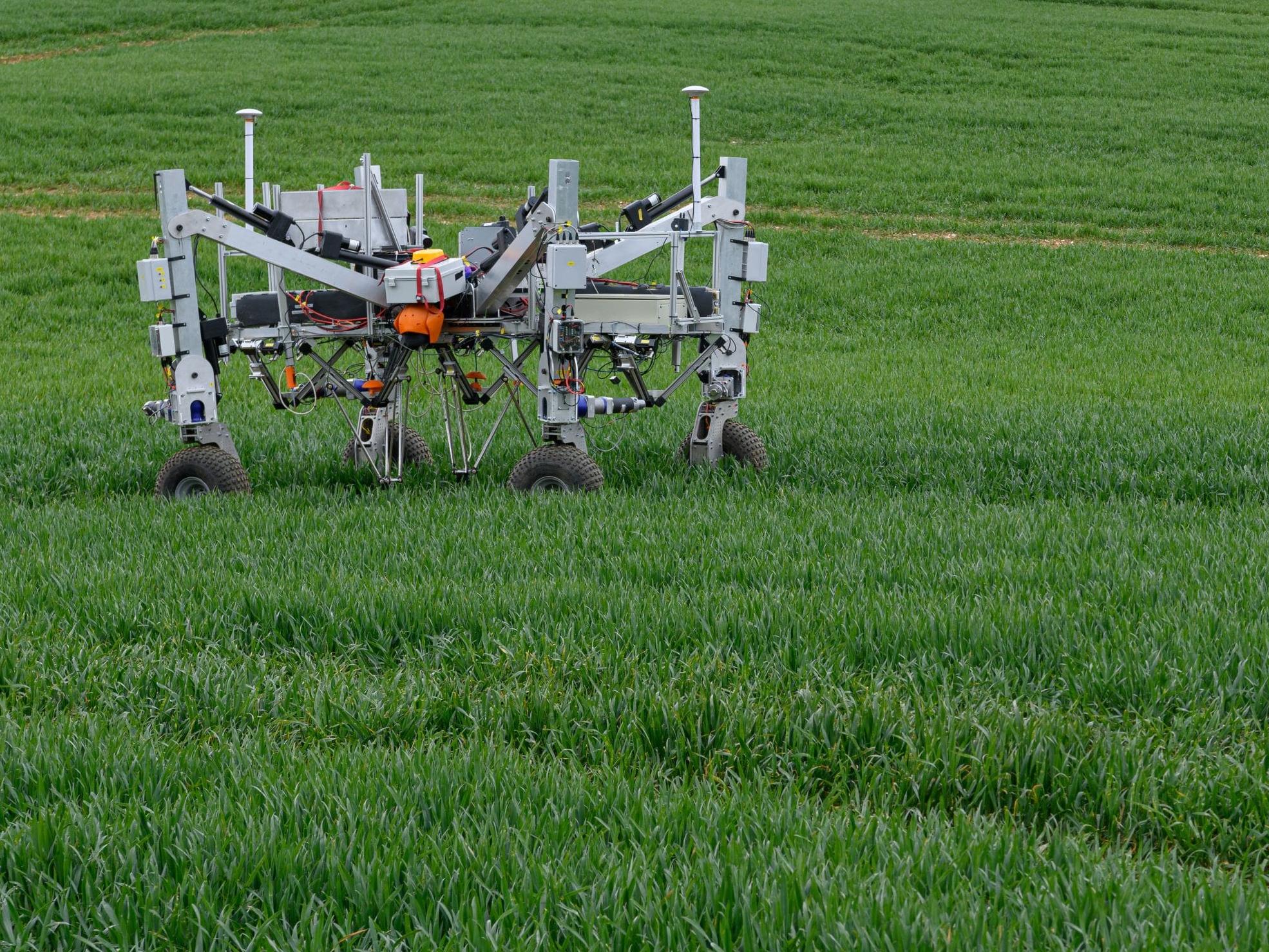 Zap! And the weed is gone….thanks to a robot