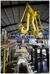 Robot palletisers with bags of versatility