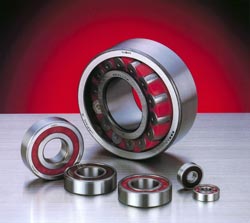 Molded Oil bearings boost reliability of vegetable washer