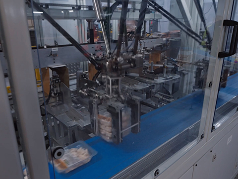 CP Foods UK automates poultry packing with OMRON and Gripple