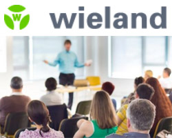 Qualify as a Certified Electrical Safety Engineer with Wieland