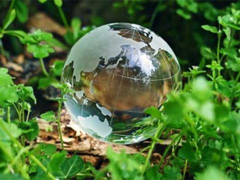 NSK added to prestigious ‘Climate Change Leader’ list