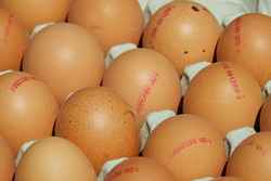 What eggs can teach us about traceability