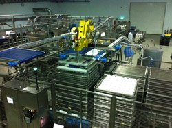 Pacepacker proves its pet food pedigree with case loading cell
