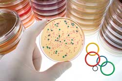 New bio-hygienic elastomeric seal compound is anti-microbial