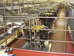 Safety and automation system selected for packaging line upgrade