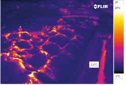 Thermal imaging protects biofuel stock piles
