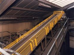 Free White Paper explains requirements for conveyor guarding