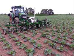 Multiple use of sensors: precision guided weed control equipment